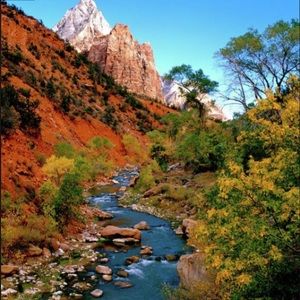 Meet your Posher, Vero